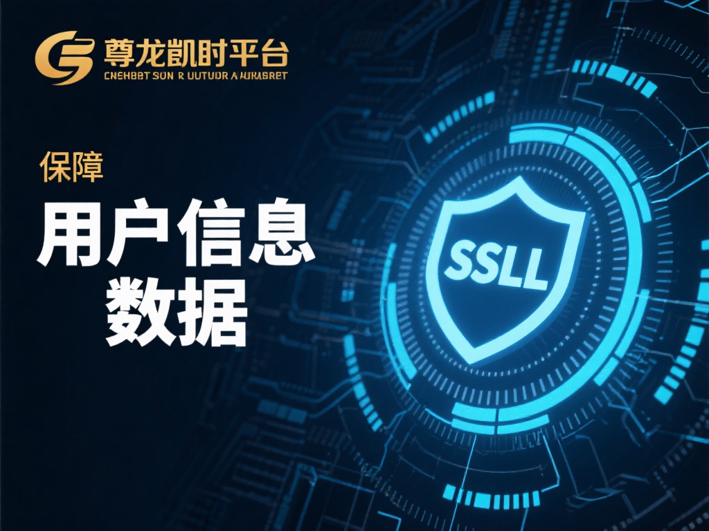 尊龙凯时安全性能与技术支持全面解析